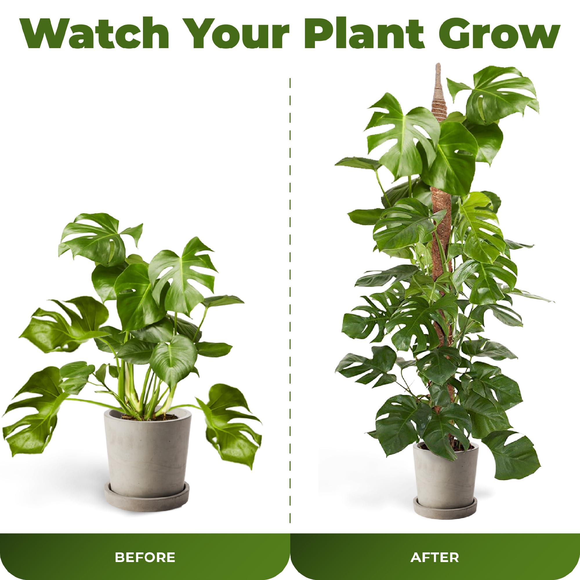 Sproot ataduras suaves incluidas que sujetan sin dañar tallos