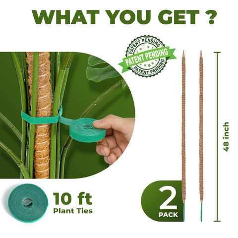 Sproot textura coco coir en primer plano que mejora agarre de raíces