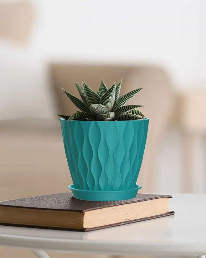 SQKH conjunto en salón, decora y organiza plantas interiores