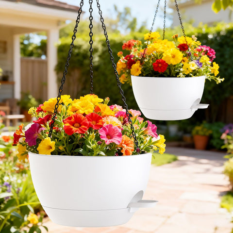 SQKH arreglo colgante con plantas mostrando drenaje y aspecto natural