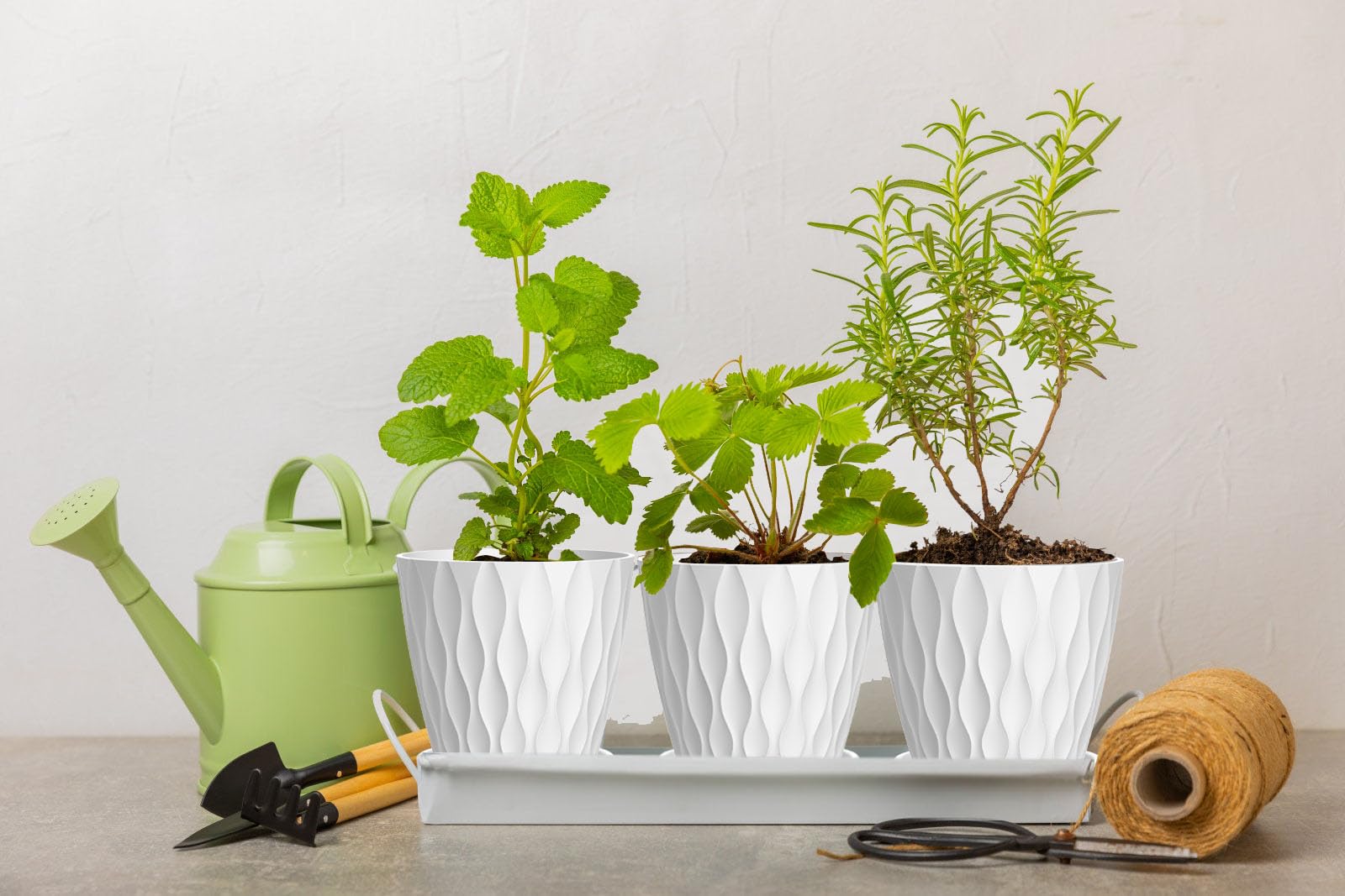 SQKH maceta en mano para comparar tamaño y facilitar elección para plantas pequeñas