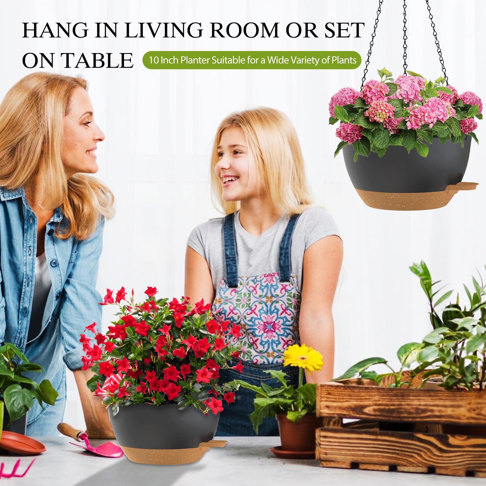 SQKH comparación de tamaño con manos para visualizar capacidad de plantas