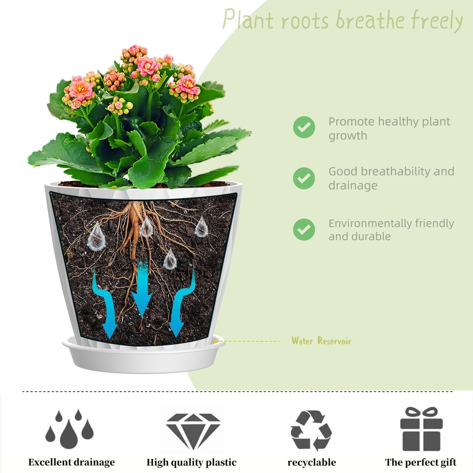 SQKH maceta con orquídea en alféizar que mejora la presentación y la salud de la planta
