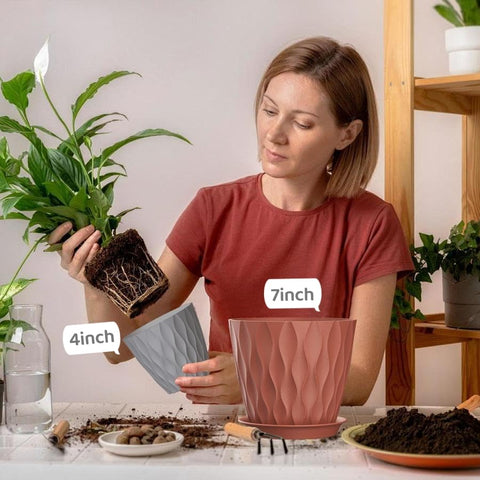 SQKH comparación de tamaños para elegir según la planta