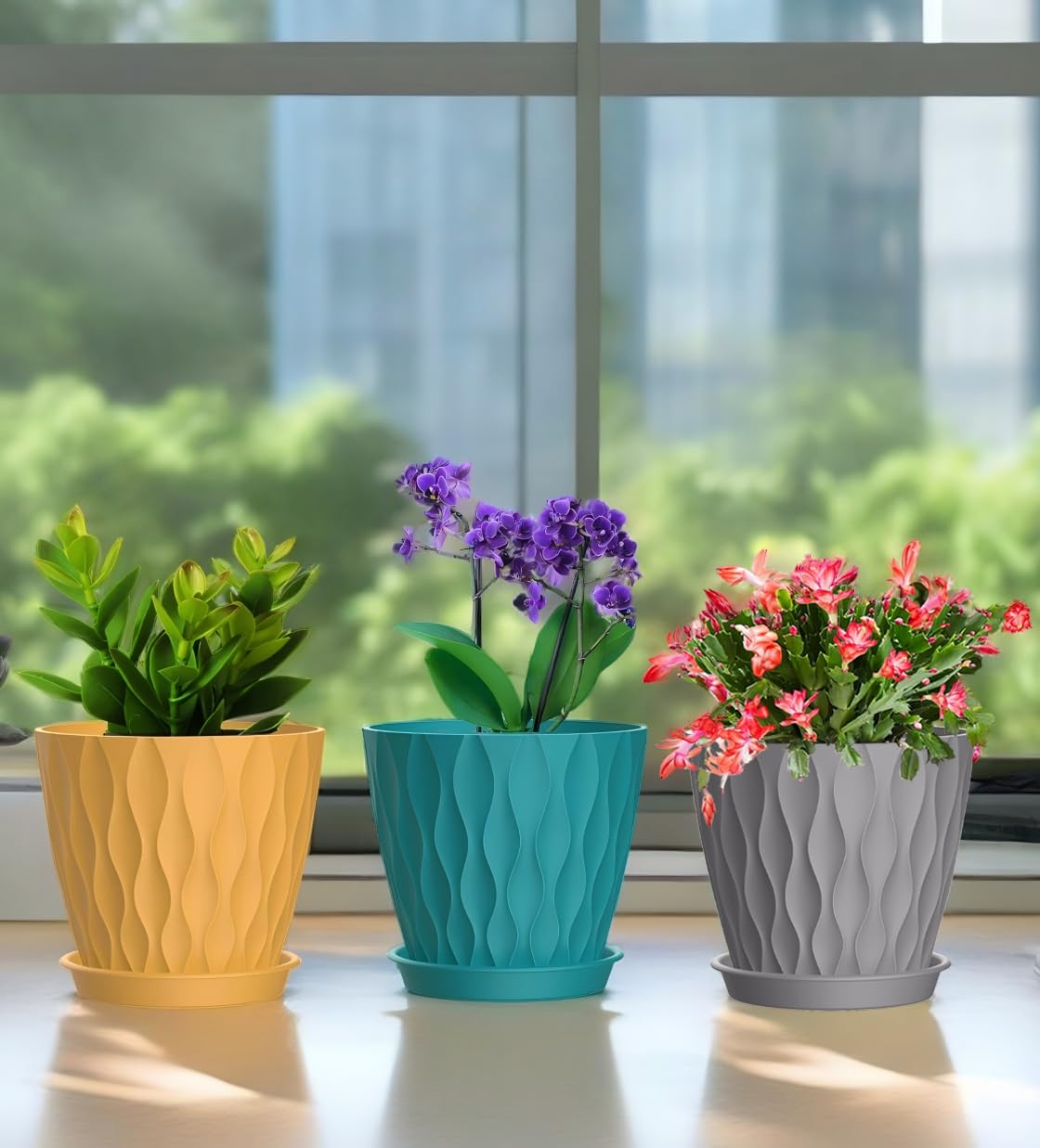 SQKH maceta con orquídea sobre escritorio aportando verde decorativo