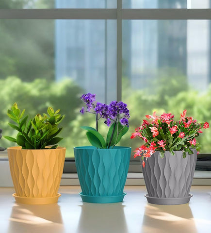 SQKH maceta con orquídea sobre escritorio aportando verde decorativo