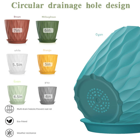 SQKH maceta en uso con planta mostrando soporte saludable