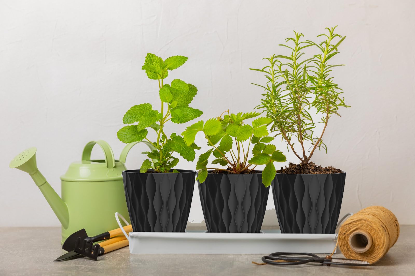 SQKH maceta en uso con suculentas demostrando cultivo ordenado y ahorro de espacio