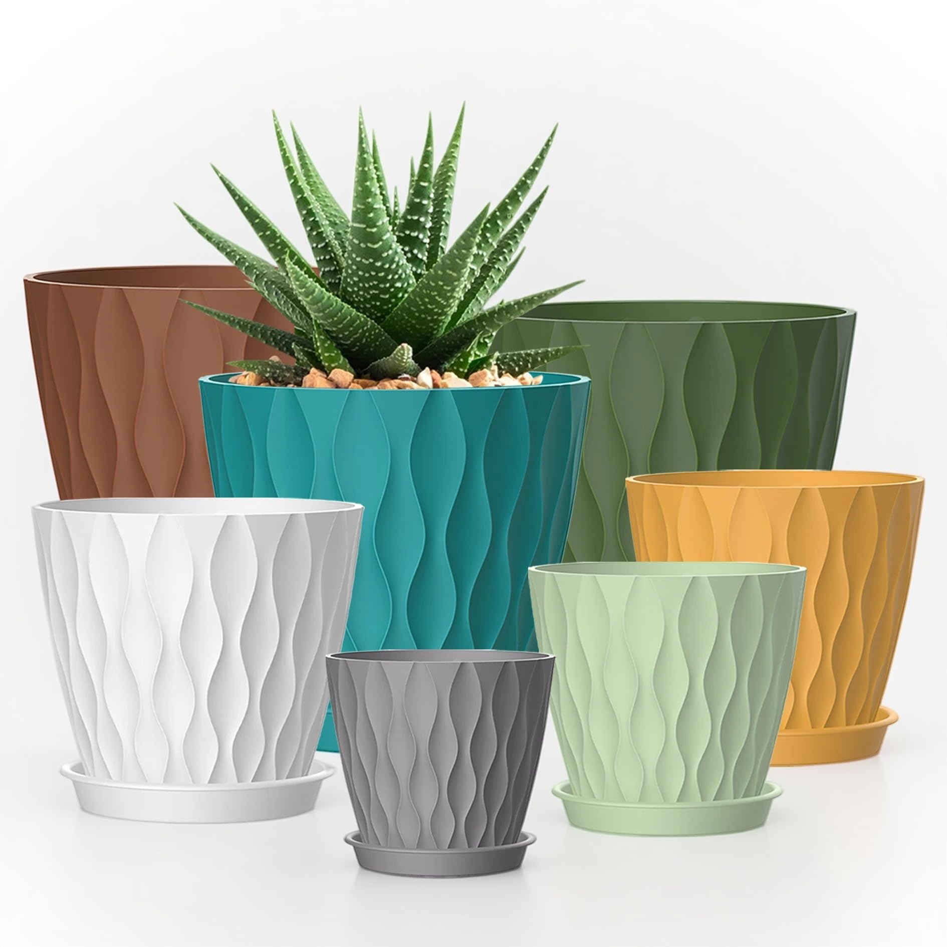 SQKH vista frontal del set, organiza plantas con estilo