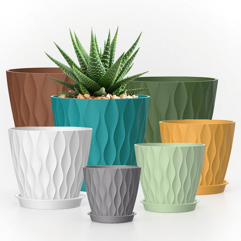 SQKH vista frontal del set, organiza plantas con estilo