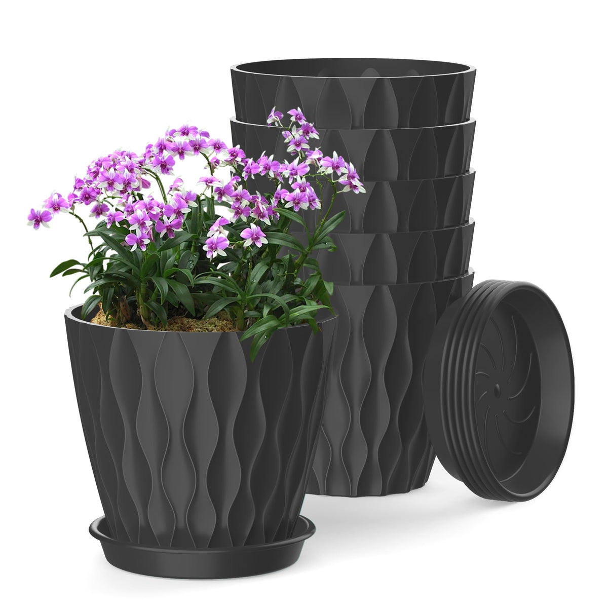 SQKH maceta frontal pack de 6 negra mostrando diseño moderno y beneficios estéticos