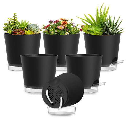 SQKH maceta frontal paquete mostrando seis unidades y diseño práctico