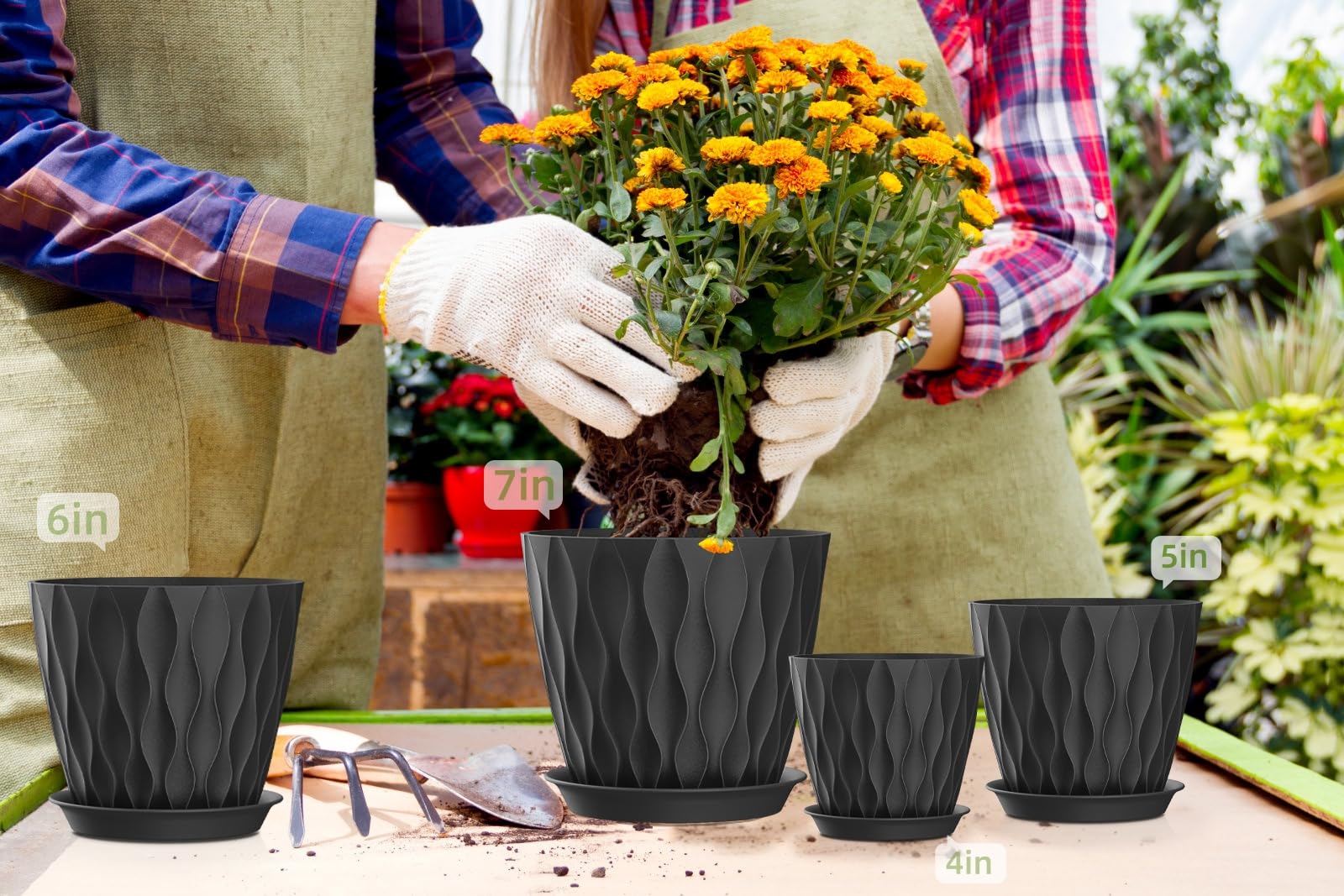 SQKH maceta plantada en interior mostrando cómo decora y facilita el cultivo
