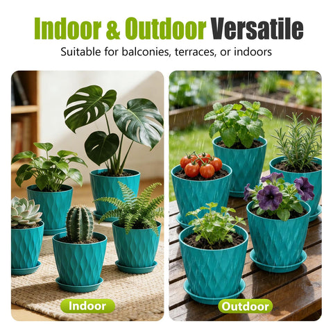 SQKH maceta en interior con planta, mejora estética del hogar