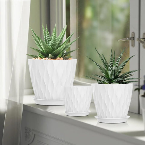 Composición decorativa SQKH con varias plantas que ilustra armonía y estética minimalista