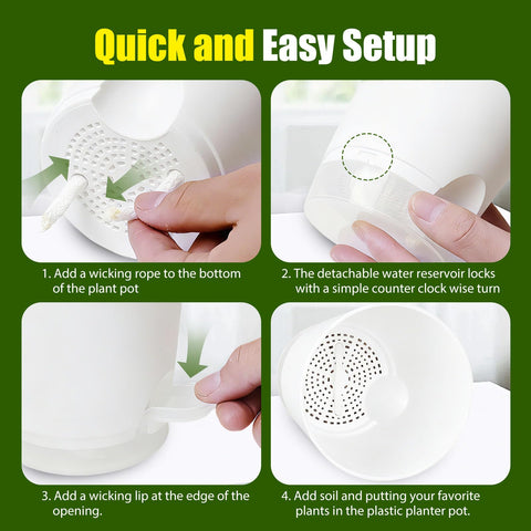 SQKH plato transparente con agua para evitar derrames y proteger superficies