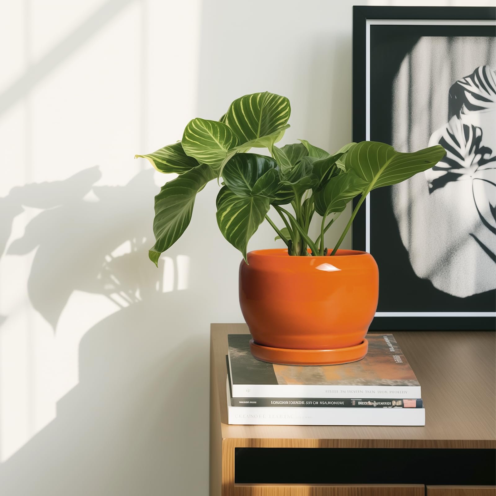 SQOWL maceta naranja como elemento decorativo en sala