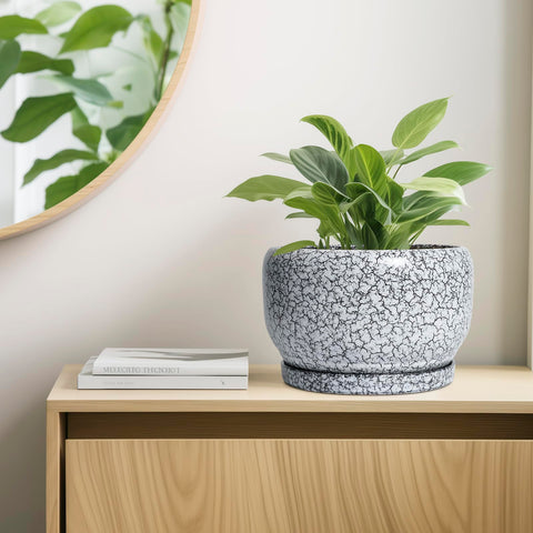 SQOWL maceta con monstera en exterior mostrando resistencia y estética natural