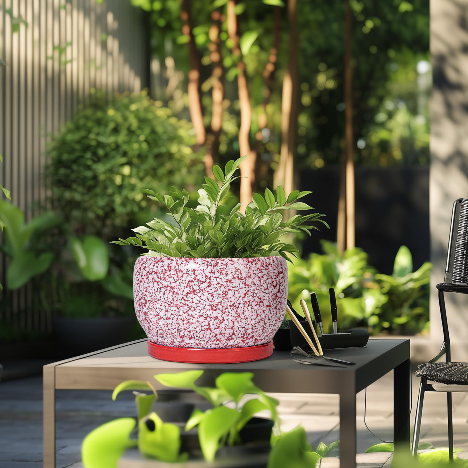 SQOWL maceta junto a manos para comparar tamaño y visualizar escala real