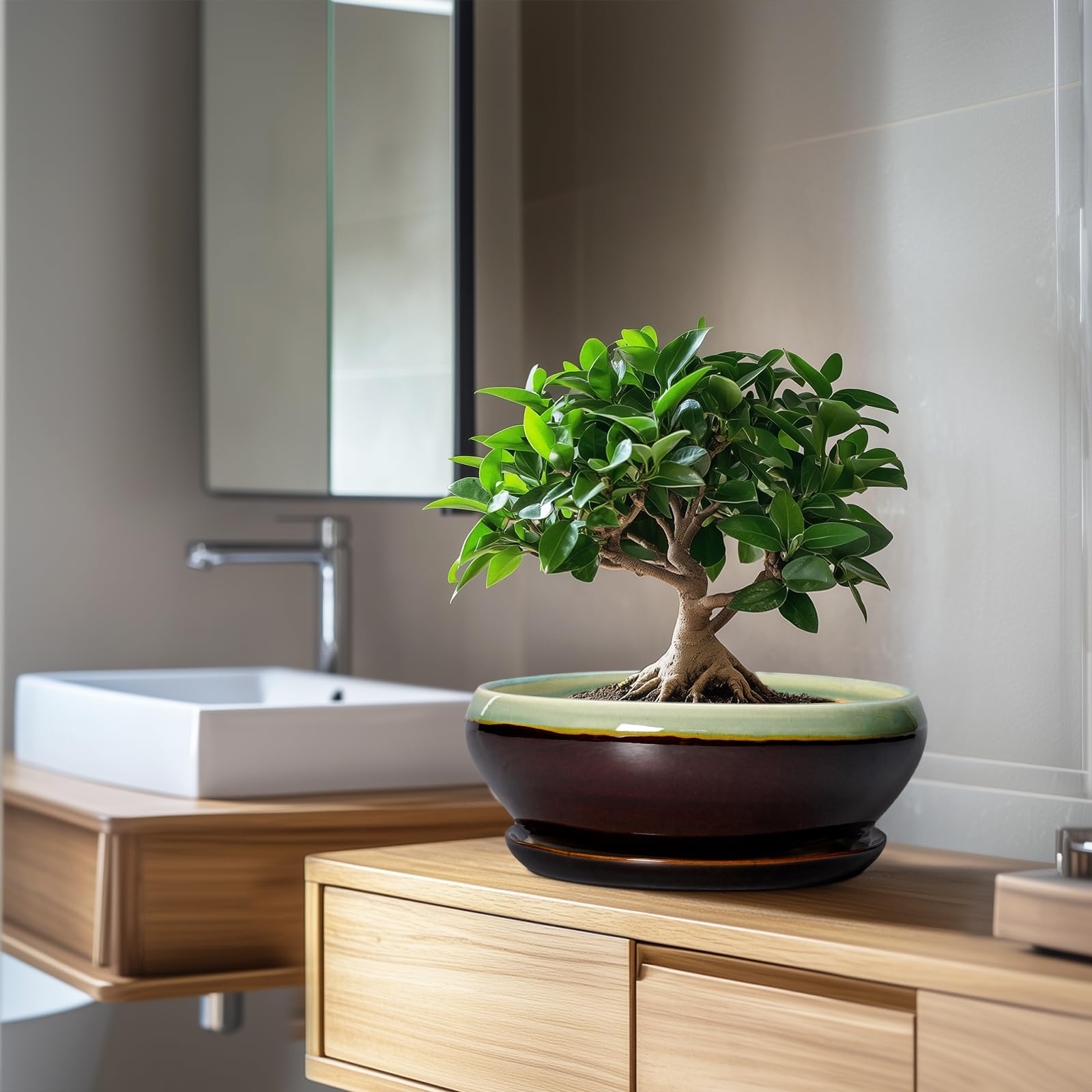 SQOWL maceta como objeto de decoración en salón realzando estilo y orden