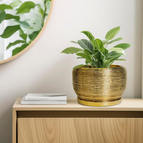 SQOWL maceta dorada integrada en decoración de salón mejora ambiente