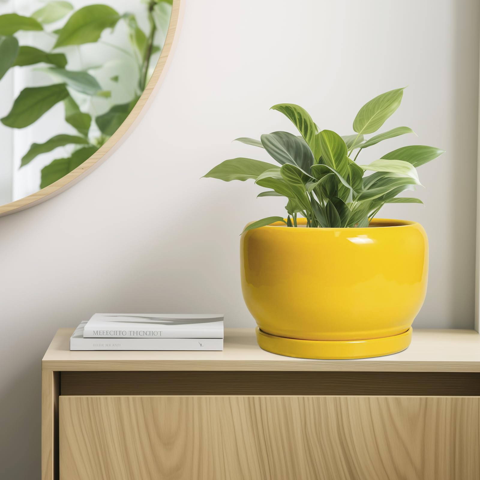 SQOWL caja de empaque lista para regalo ideal para aficionados a plantas