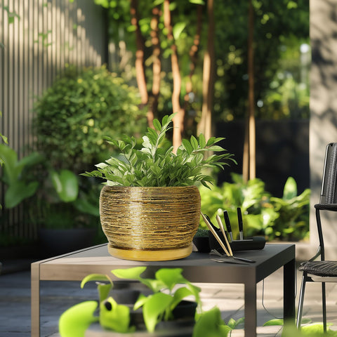 SQOWL maceta en uso sobre mesa con planta, aporta estilo a interiores