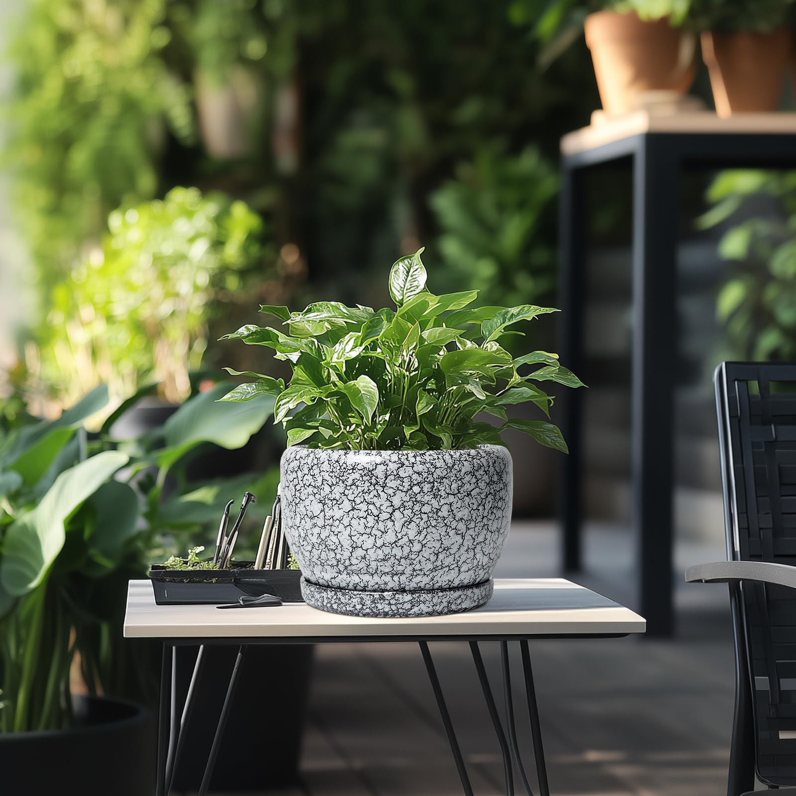 SQOWL maceta junto a planta para comparar tamaño y proporción