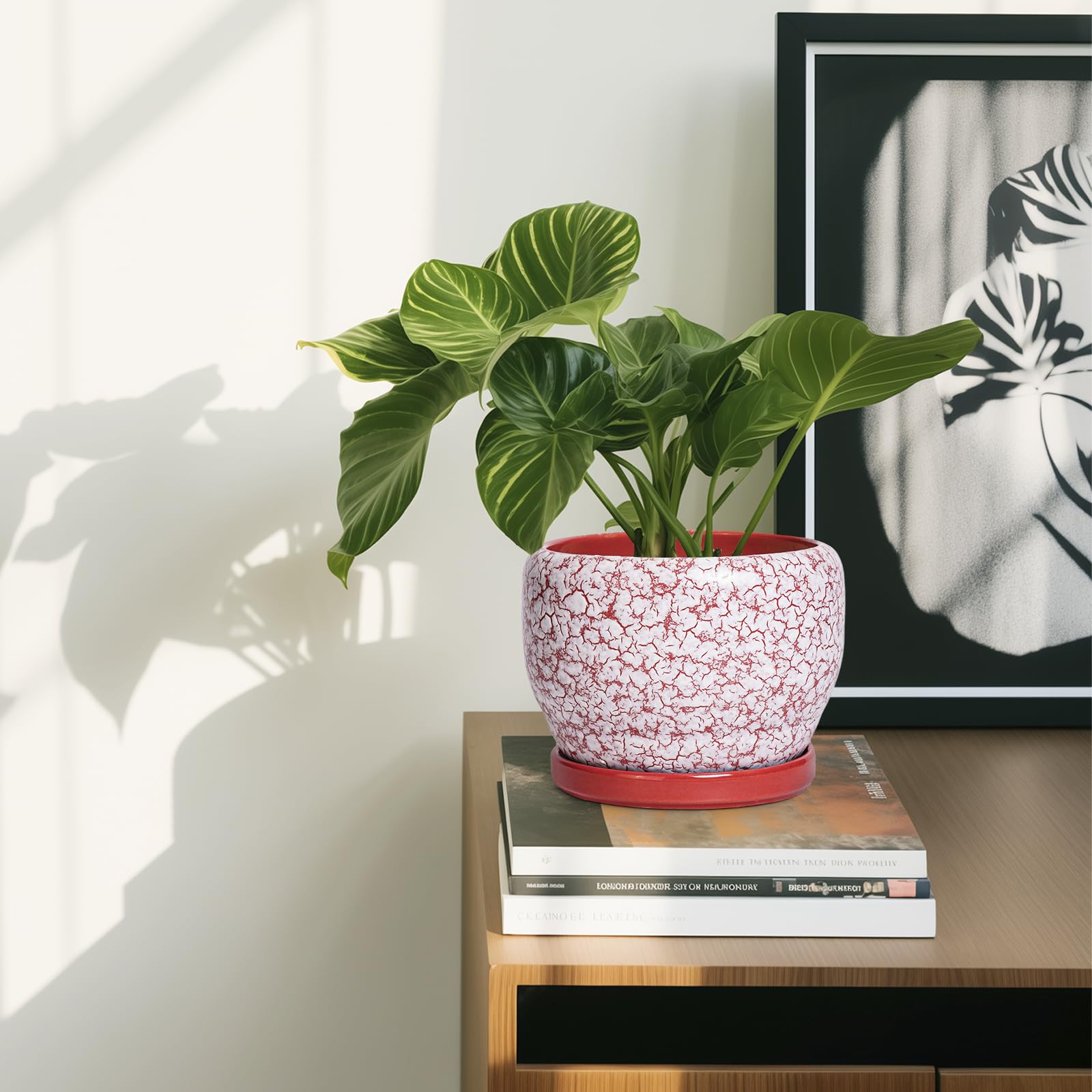 SQOWL maceta en balcón con plantas, aporta encanto y función