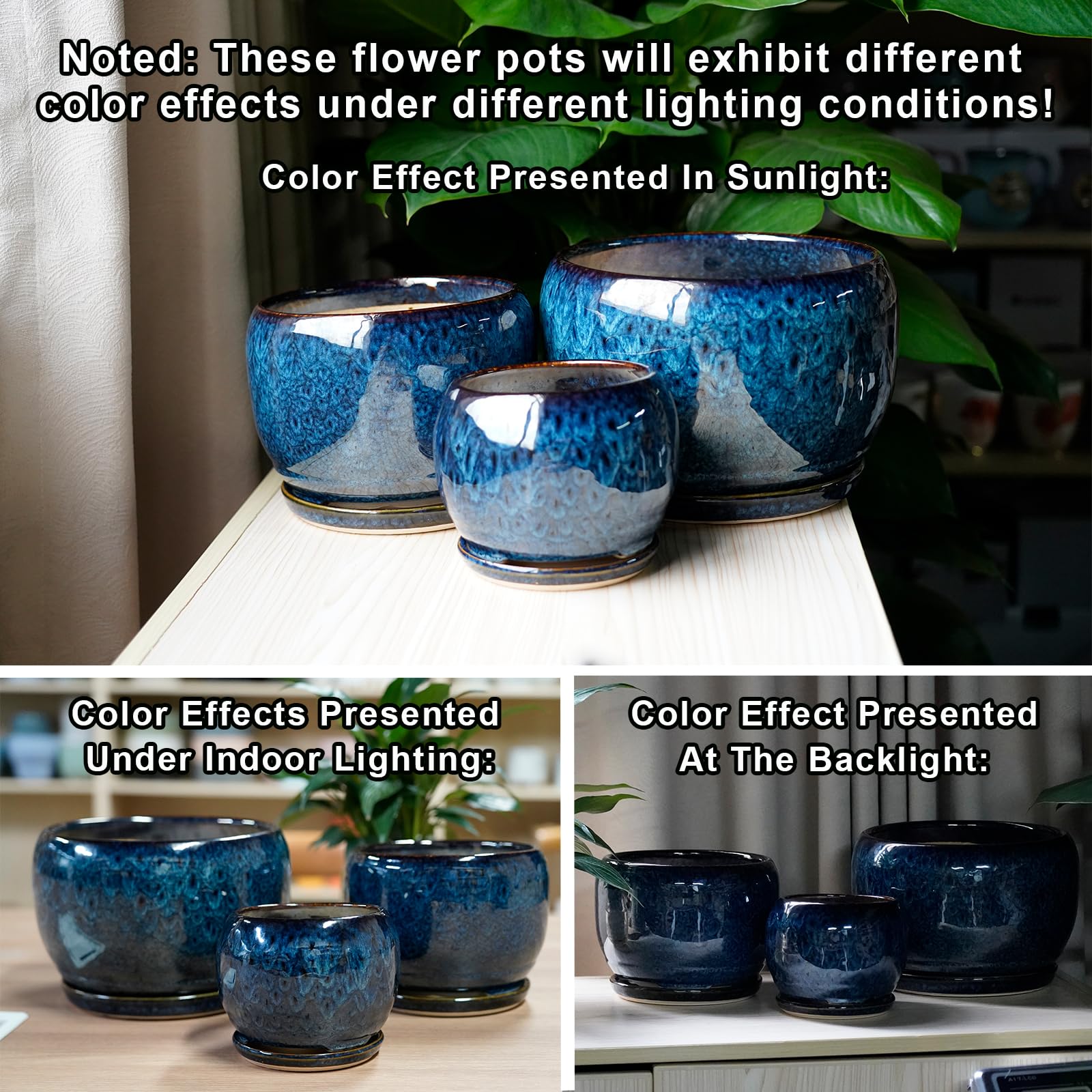 SQOWL maceta con suculenta demuestra uso y planta saludable