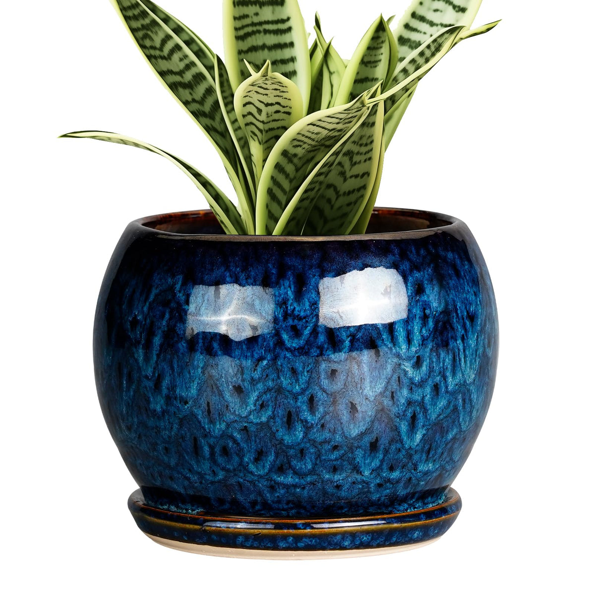 SQOWL maceta frontal azul elegante muestra acabado y forma
