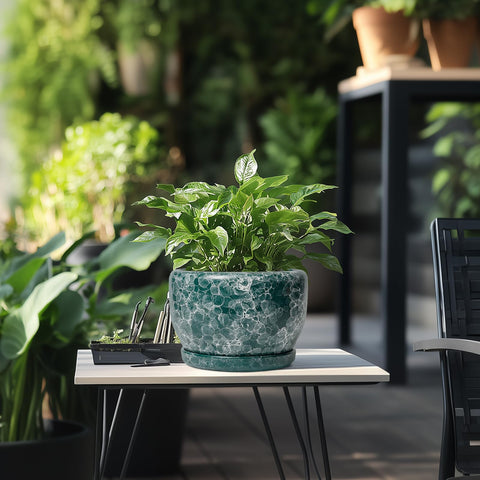 SQOWL maceta colocada en interior con planta, aporta decoración natural y orden