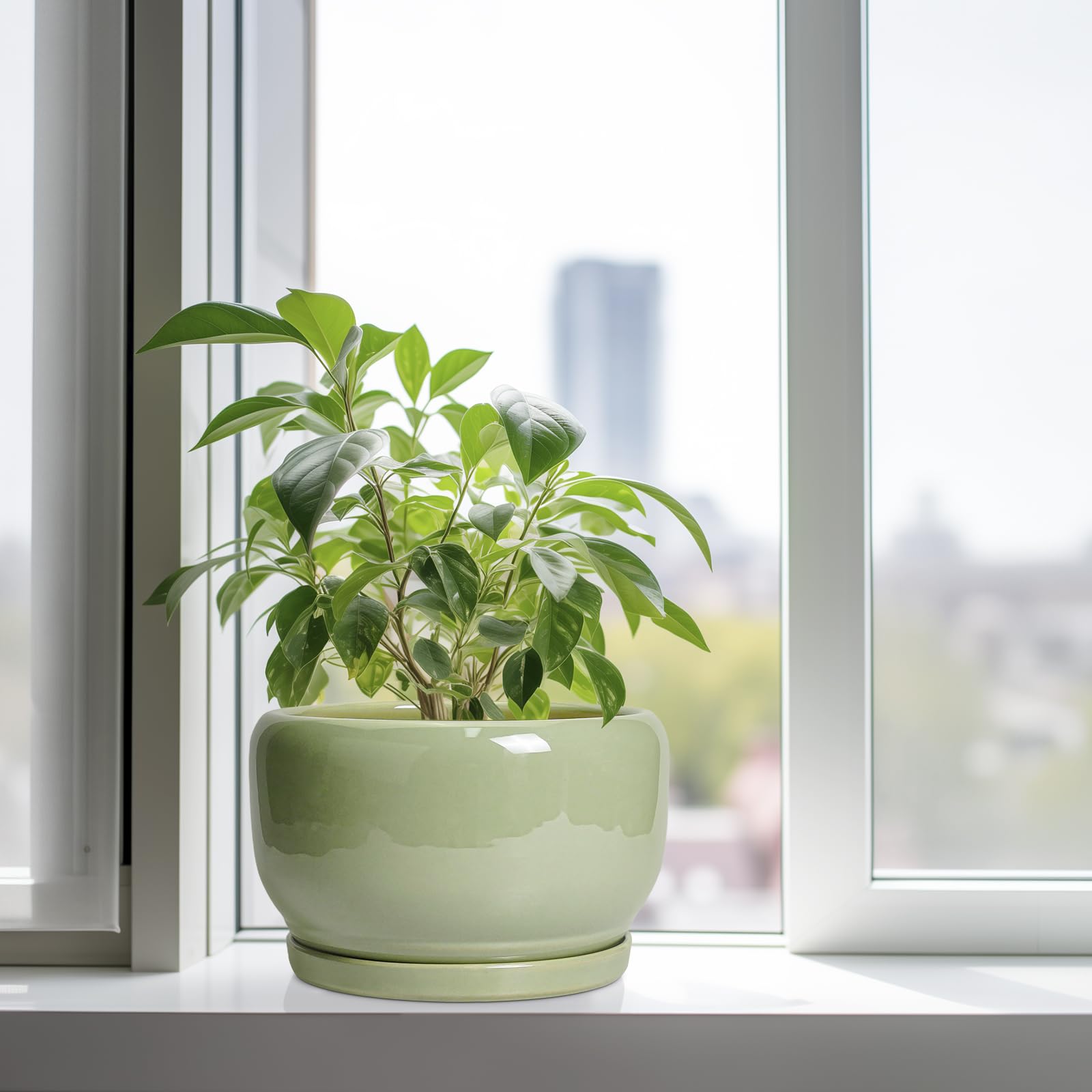 SQOWL maceta con planta en sala mostrando uso interior decorativo