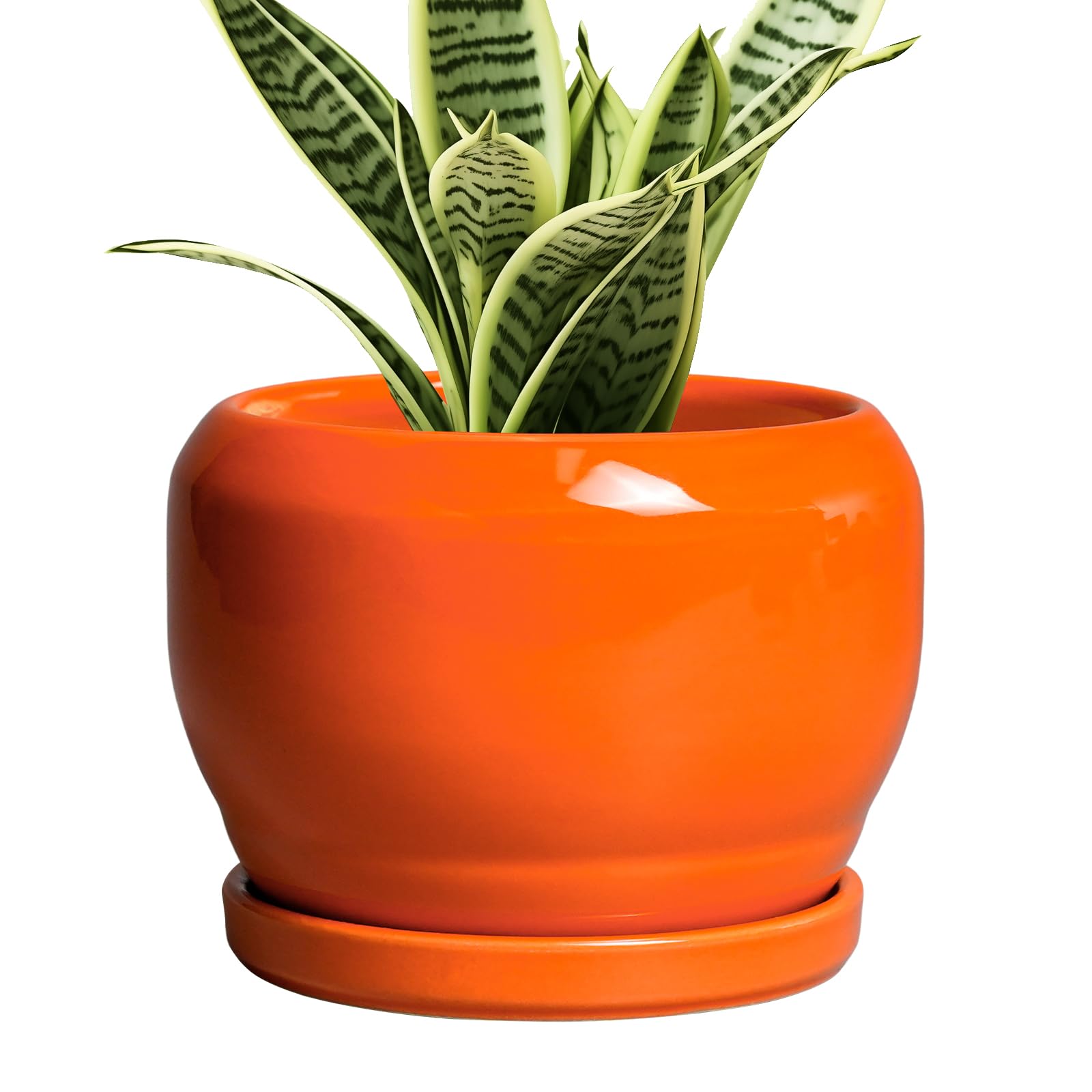 SQOWL maceta cerámica frontal naranja muestra diseño moderno