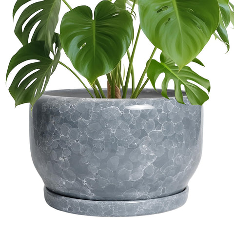 SQOWL maceta de cerámica fronta gris, elegante y resistente