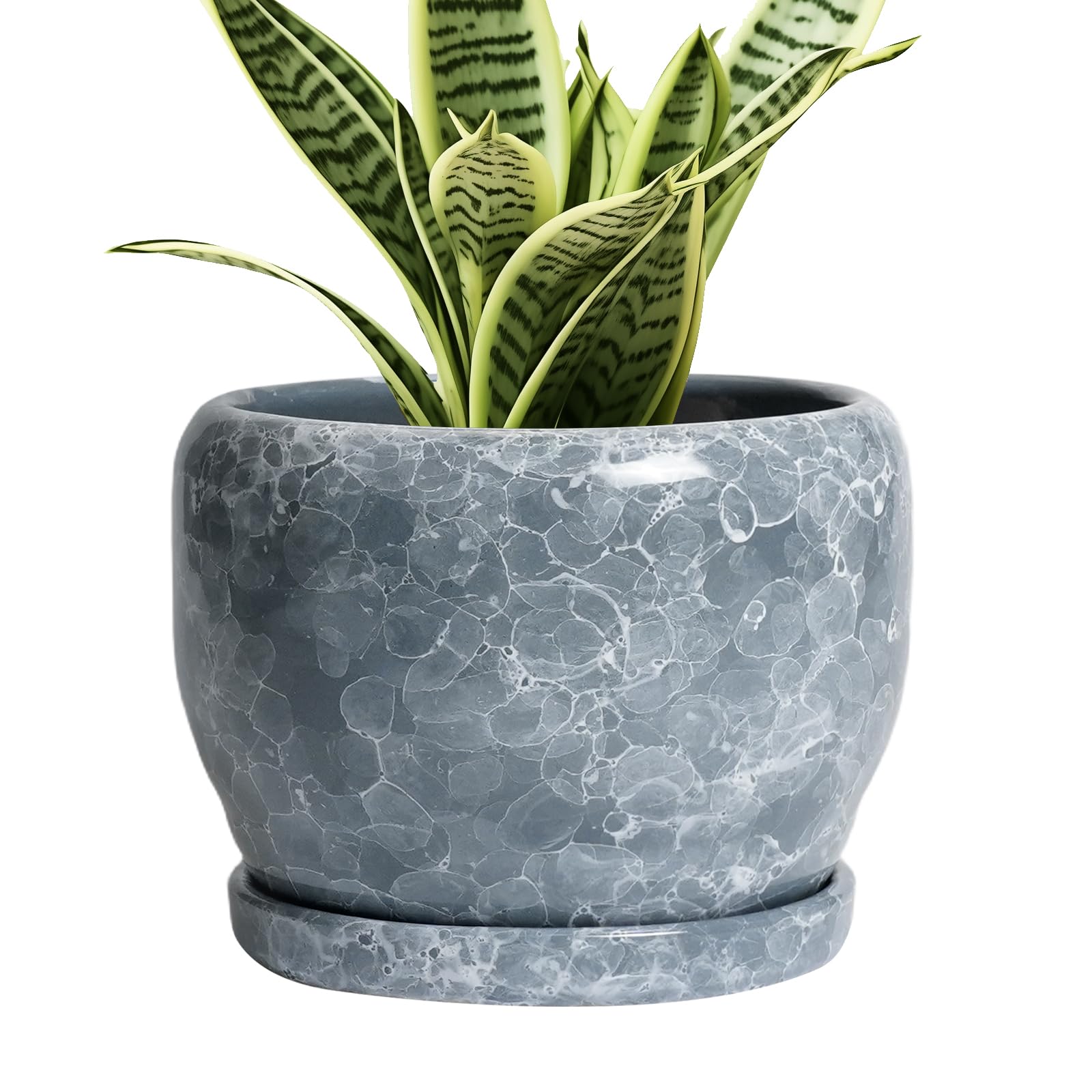 SQOWL maceta cerámica vista frontal elegante para decoración
