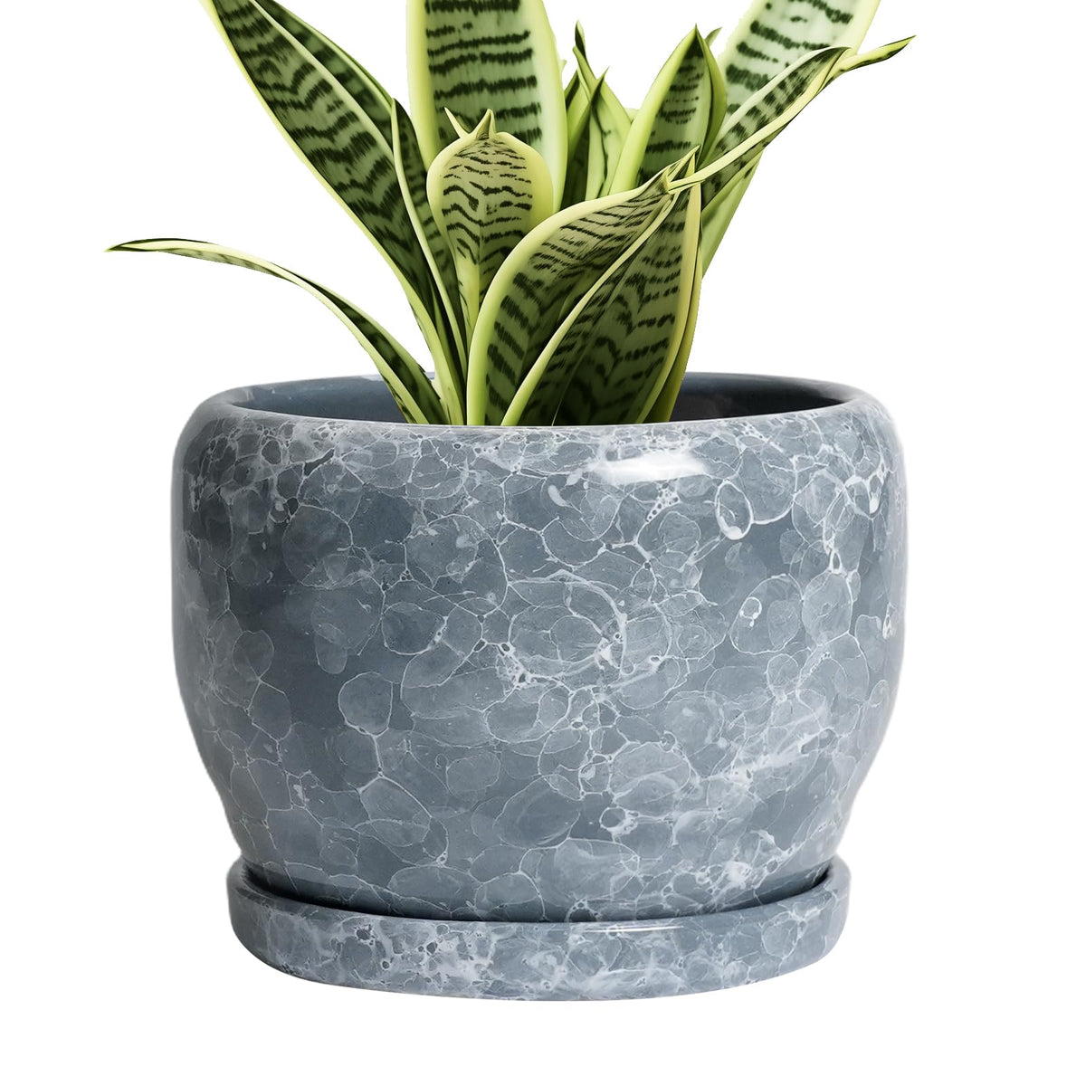 SQOWL maceta cerámica vista frontal elegante para decoración