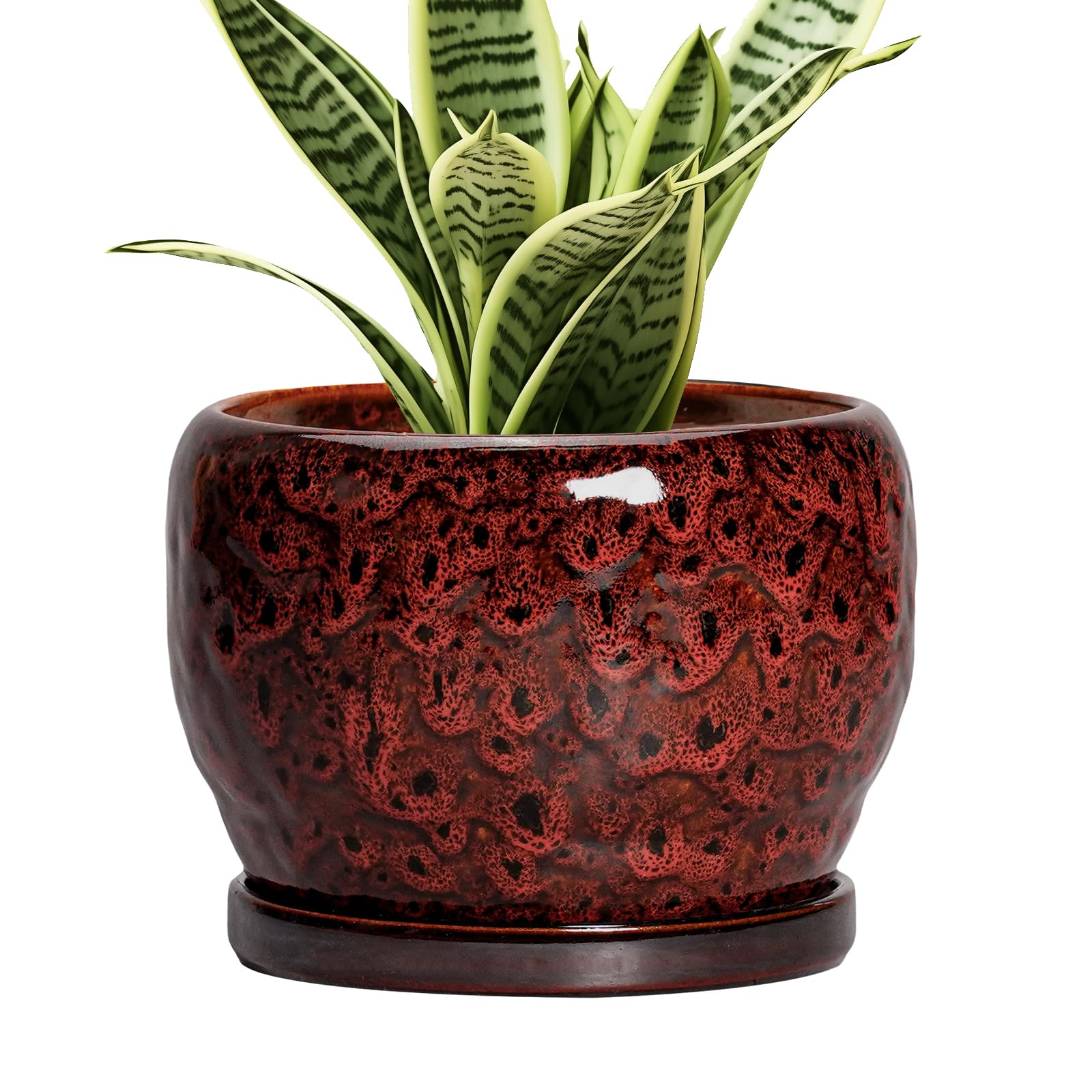 SQOWL maceta cerámica vista frontal roja con acabado brillante y diseño moderno