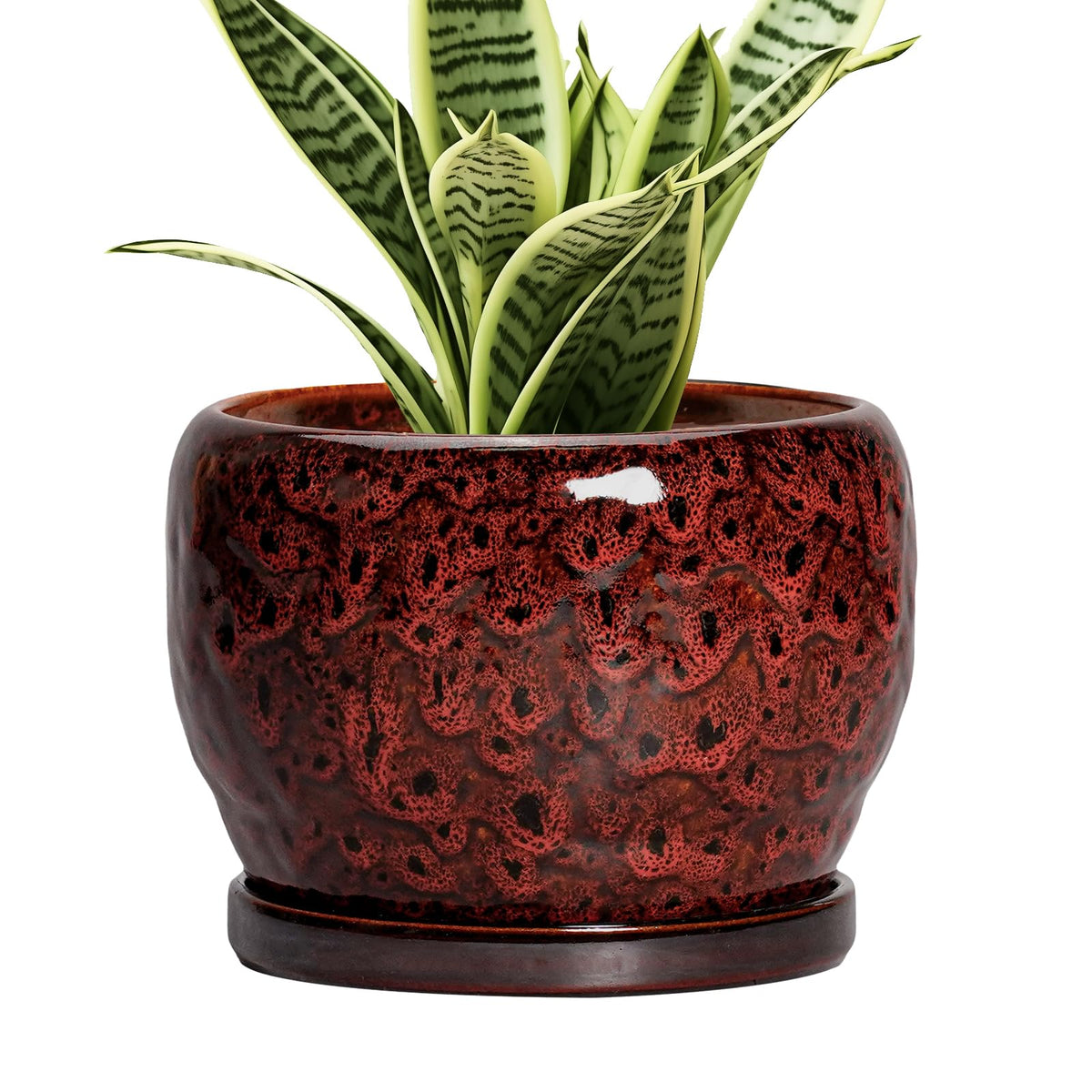SQOWL maceta cerámica vista frontal roja con acabado brillante y diseño moderno