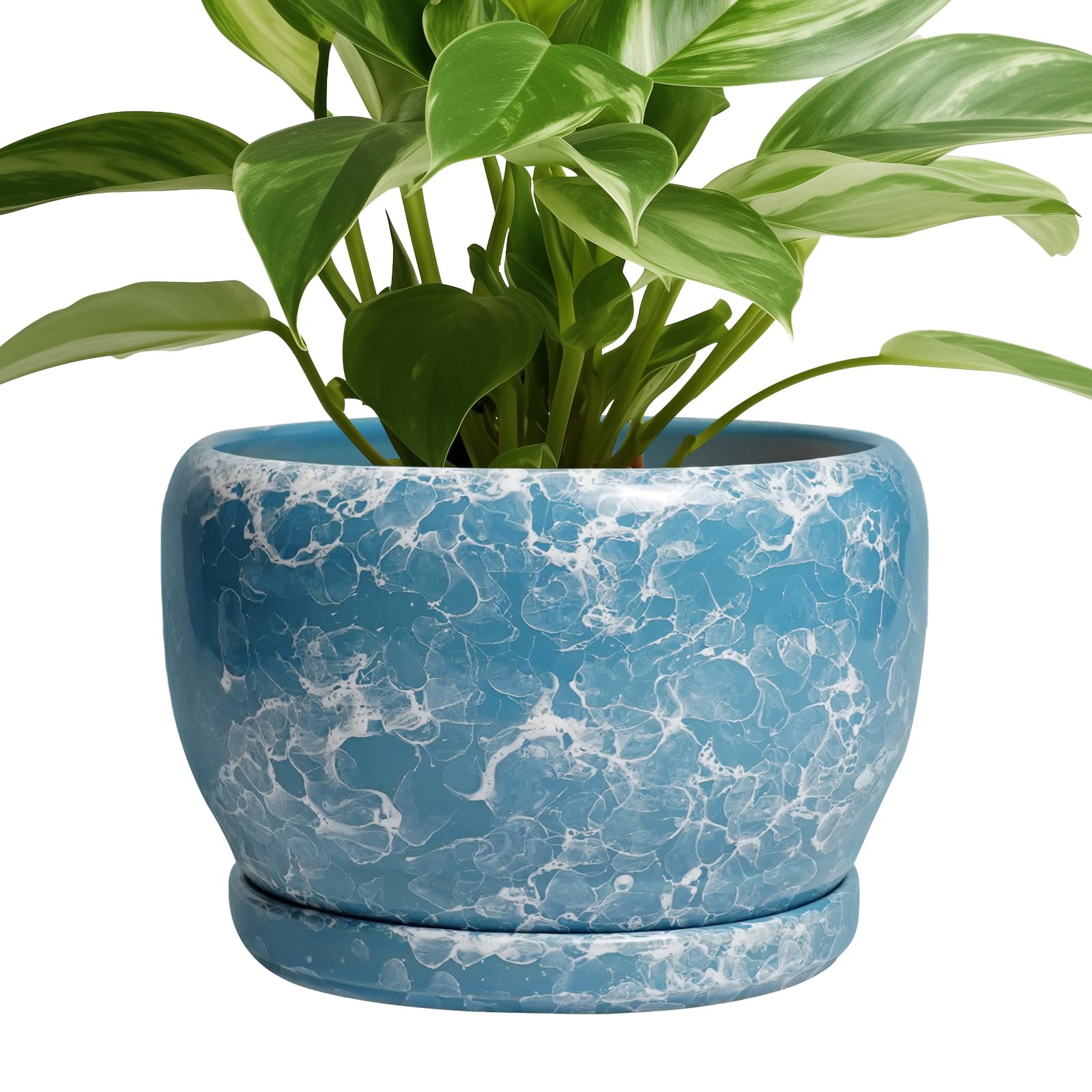 SQOWL maceta cerámica frontal azul, elegante y decorativa