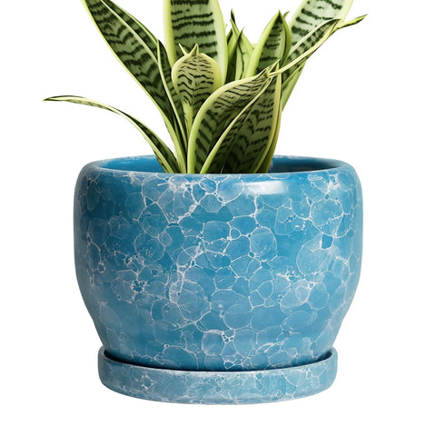 SQOWL maceta cerámica frontal azul mostrando acabado elegante y protección de superficies