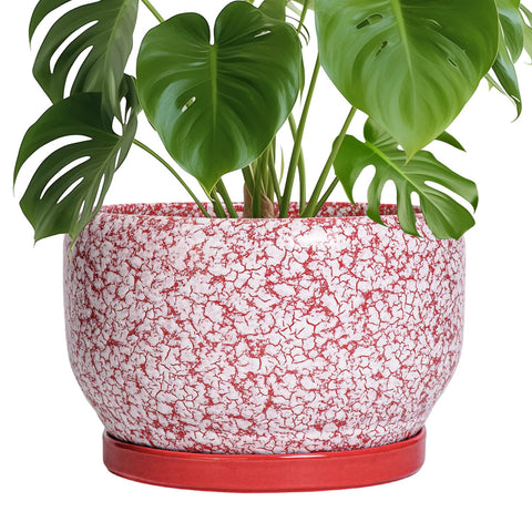 SQOWL maceta cerámica frontal mostrando diseño rojo y blanco y aspecto decorativo