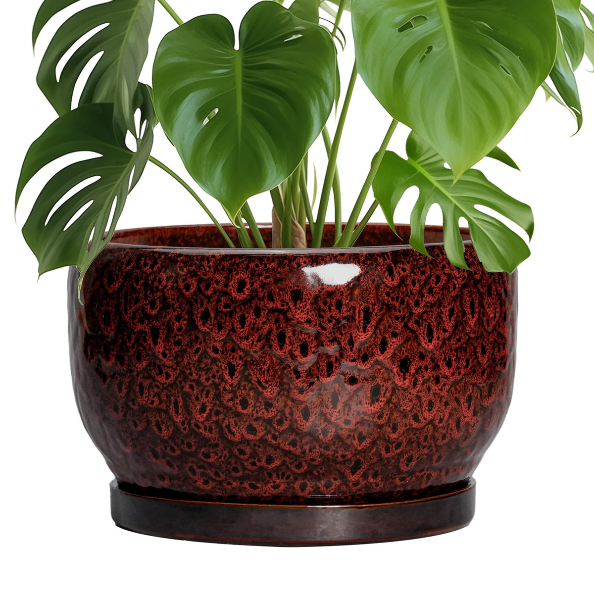 SQOWL maceta cerámica frontal rojo elegante y decorativo