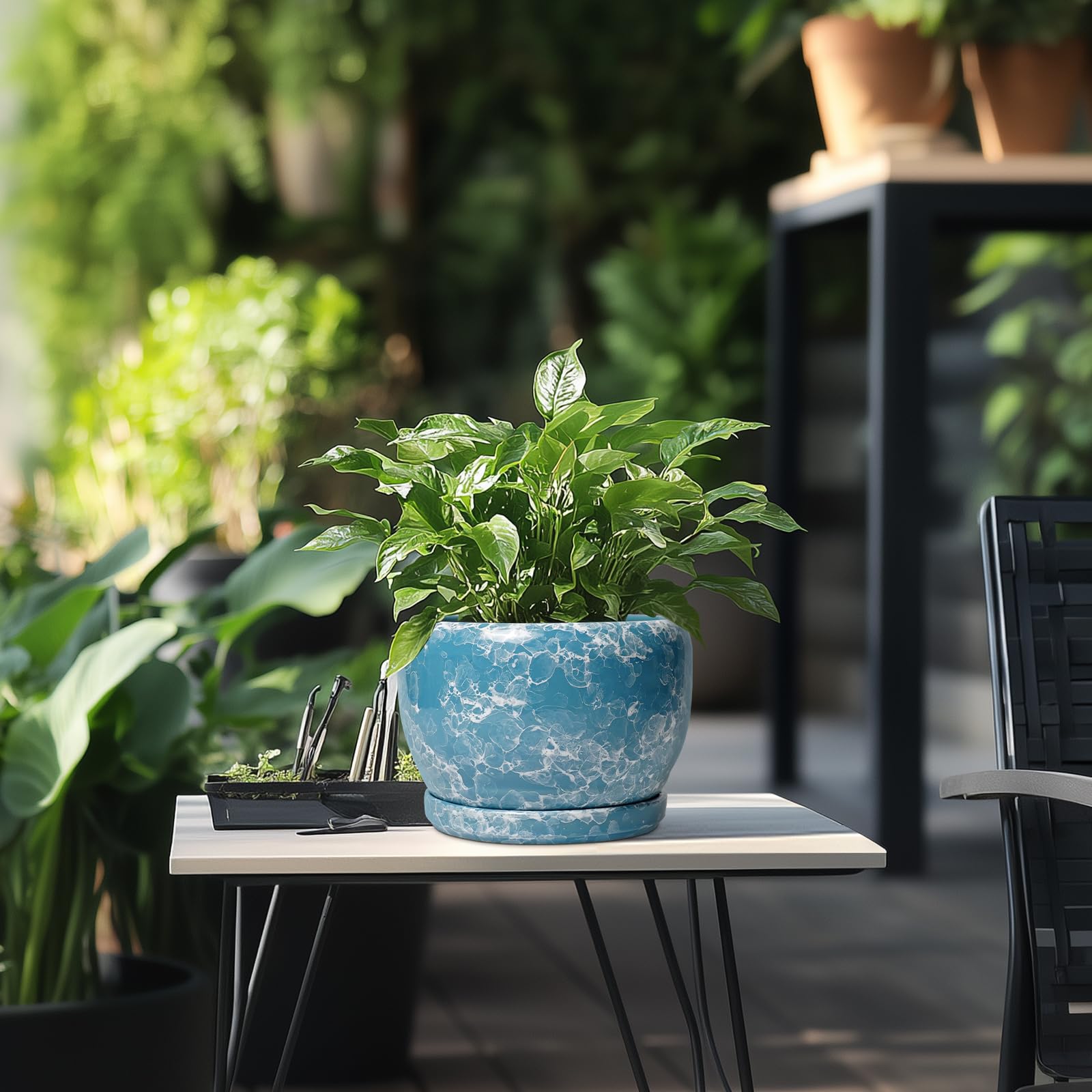 SQOWL comparación de tamaño con manos, ideal para plantas medianas