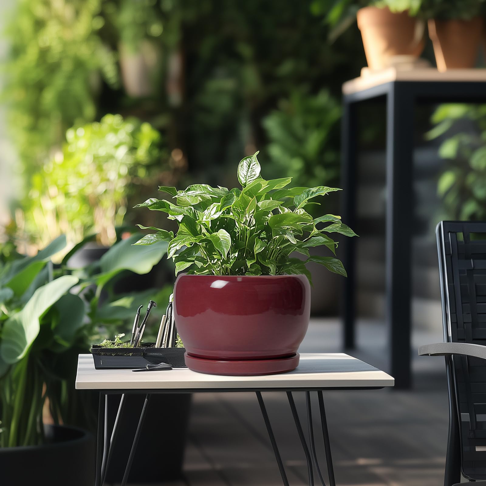 SQOWL maceta junto a regla para comparar tamaño y escoger la planta adecuada