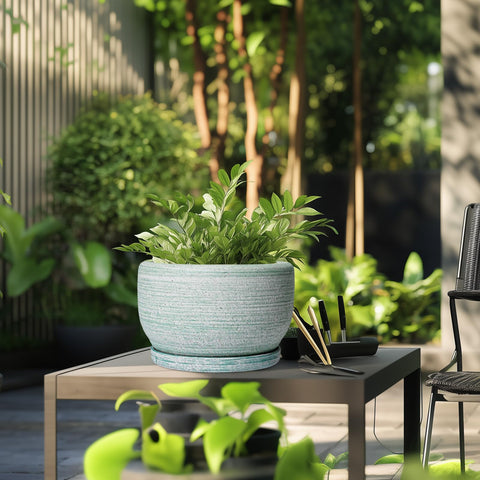 SQOWL maceta con monstera en ambiente que inspira decoración verde