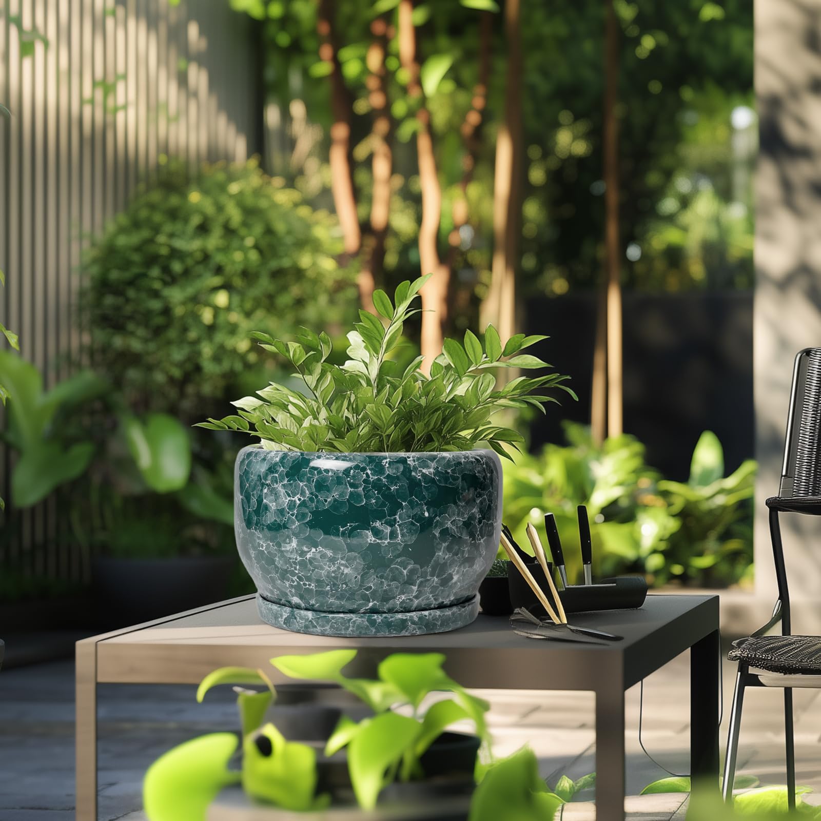 SQOWL maceta con monstera en salón que aporta estética y verdor