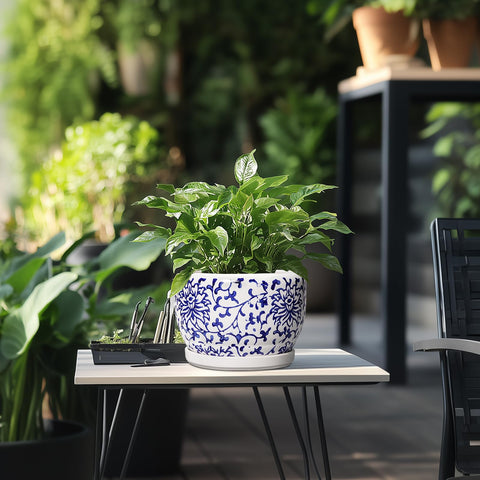 SQOWL maceta con planta en mesa aportando decoración interior inmediata