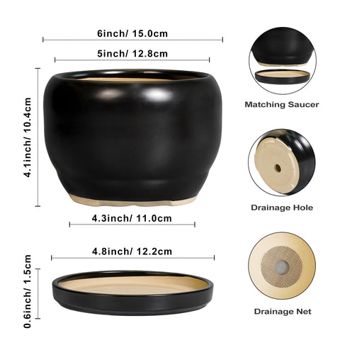SQOWL maceta en uso con suculenta que realza cualquier mesa interior