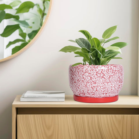 SQOWL maceta colocada en terraza decorativa que mejora ambiente exterior protegido